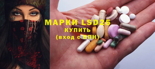 шишки Абинск