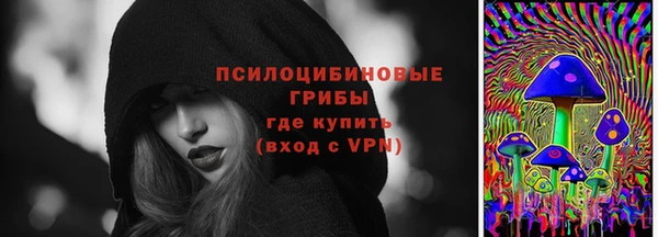 индика Абдулино