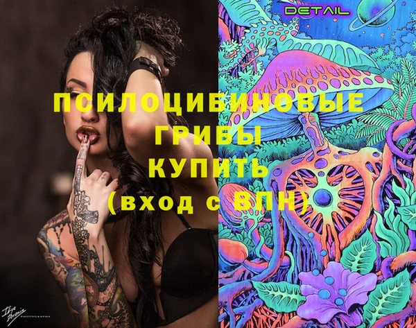 мяу мяу мука Абаза