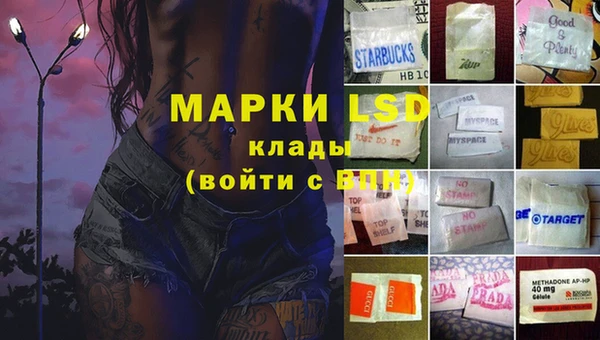 мяу мяу мука Абаза