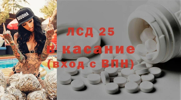 шишки Абинск