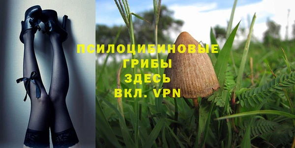 индика Абдулино
