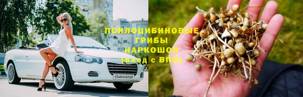 индика Абдулино